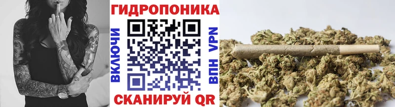 Виды наркотиков купить Мурино СК  Меф мяу мяу  ГАШ 
