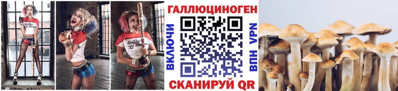 Галлюциногенные грибы MAGIC MUSHROOMS где найти Мурино