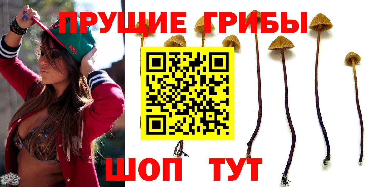 Мурино  Псилоцибиновые грибы мицелий  Вход с VPN 