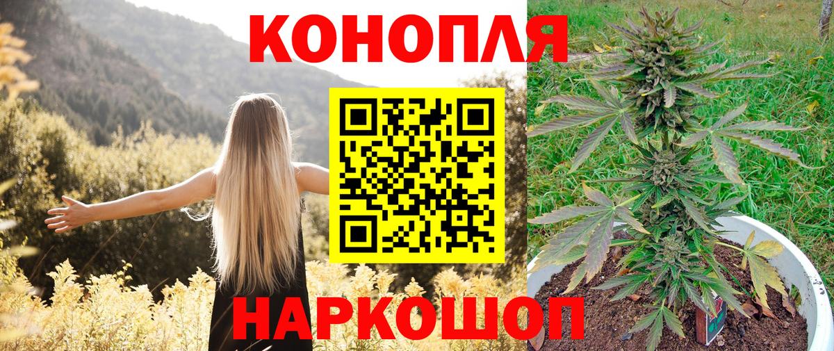 МАРИХУАНА VHQ  Вход с VPN  Бошки марихуана сатива  Мурино  Канабис White Widow 